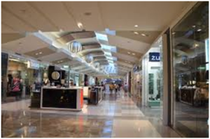 shopping experience