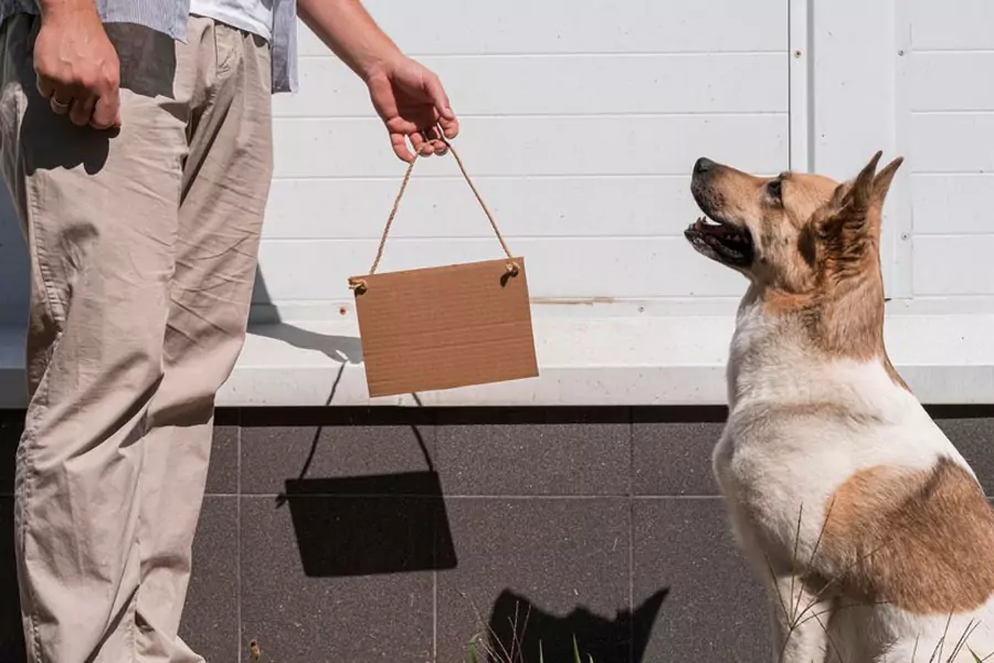 Eco-Friendly Doggie Bags