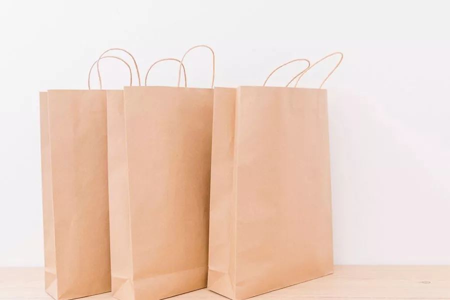 Plain Brown Kraft Paper Bags