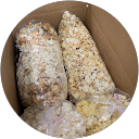 David Blackstone profile picture